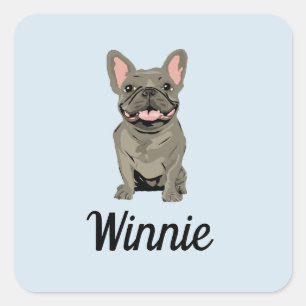 Sticker Carré Bouledogue Français Gris