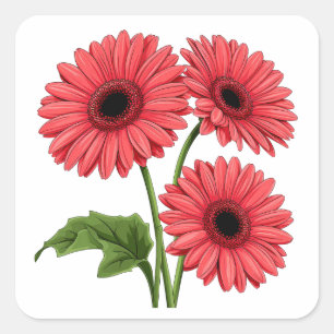 Sticker Carré Bouquet de gerbera rouge vif