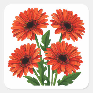 Sticker Carré Bouquet de gerbera rouge vif