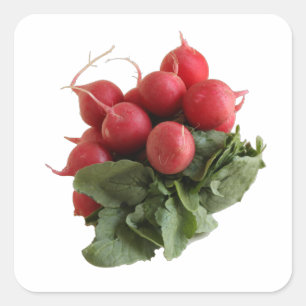Sticker Carré Bouquet de radis rouges avec feuilles verts 