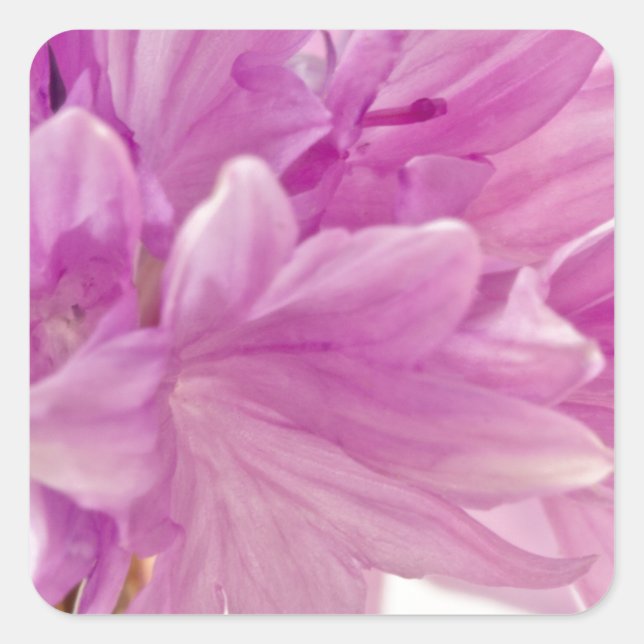 Sticker Carré Bouton de mise à jour (Devant)