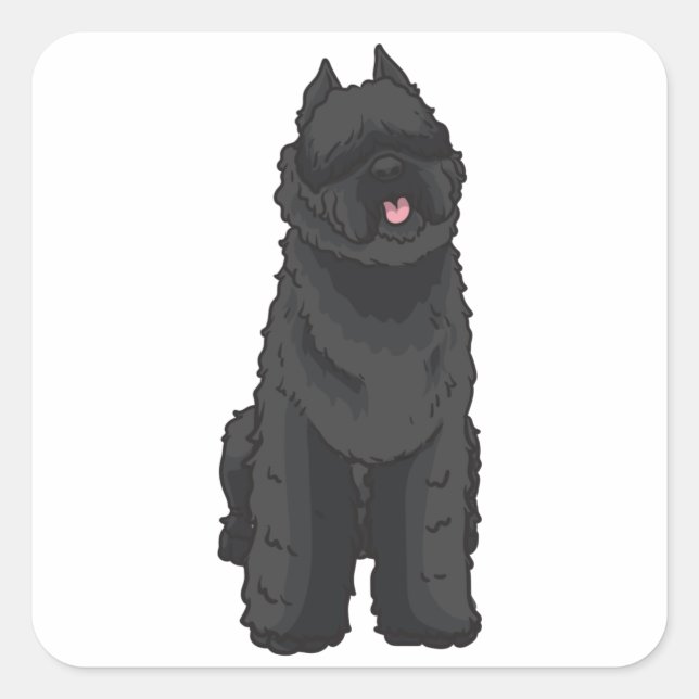 Sticker Carré Bouvier des Flandres (Devant)