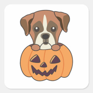 Sticker Carré Boxe En Chiens Citrouilles Cute Happy Halloween