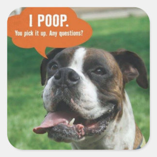 Sticker Carré Boxer - I poop