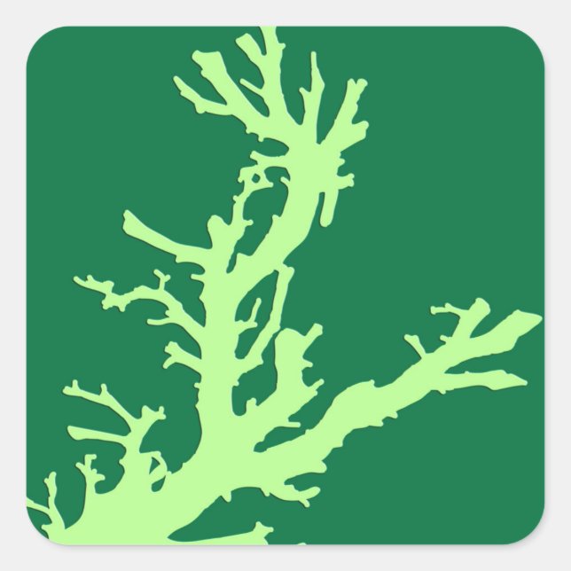 Sticker Carré Branche de corail - chaux et vert émeraude (Devant)
