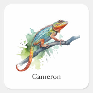 Sticker Carré Branche des couleurs : Chameleon Art