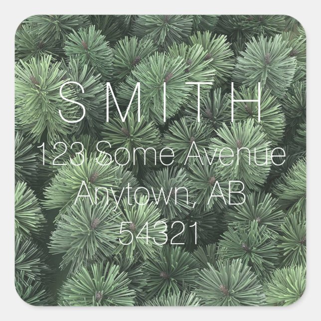 Sticker Carré Branches de pin Aiguilles À feuillage persistant d (Devant)