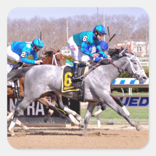 Sticker Carré Bravo de Joe - ma Mlle lilly