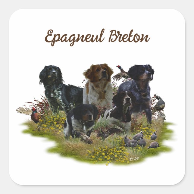 Sticker Carré Bretagne Espagnols, chasse aux oiseaux
