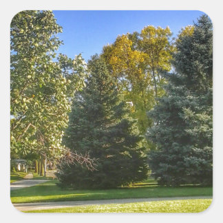 Sticker Carré Bright Sunny Day Dans Le Parc