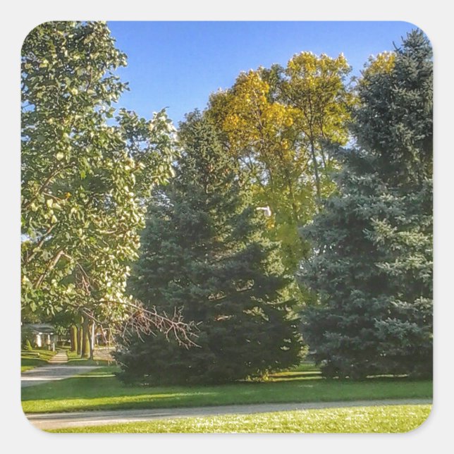 Sticker Carré Bright Sunny Day Dans Le Parc (Devant)