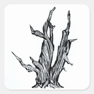 Sticker Carré Bristlecone
