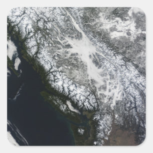 Sticker Carré Brouillard et neige en Colombie-Britannique