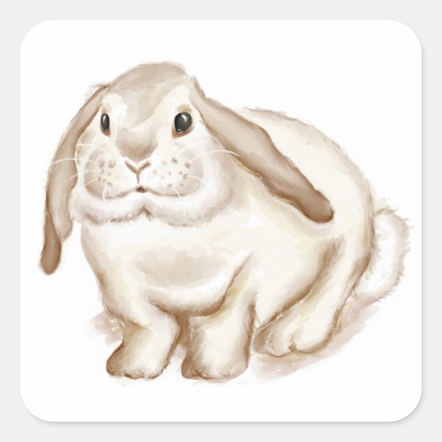 Sticker Carré Brown Bunny (Devant)
