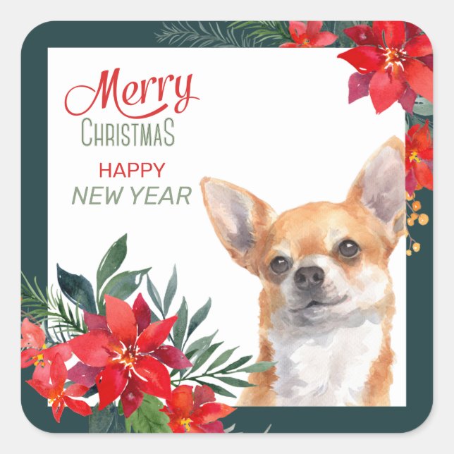 Sticker Carré Brown Chihuahua Chien Poinsettia Frontière Noël (Devant)