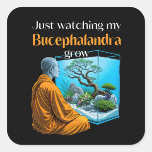 Sticker Carré Bucephalandra Zen