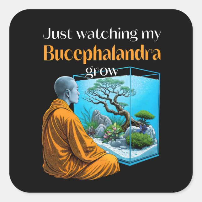 Sticker Carré Bucephalandra Zen (Devant)
