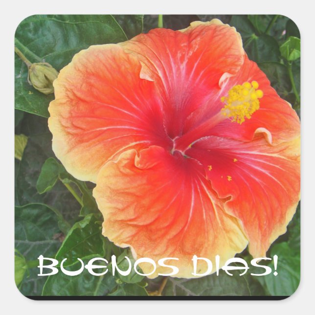 Sticker Carré Buenos Dias (Devant)