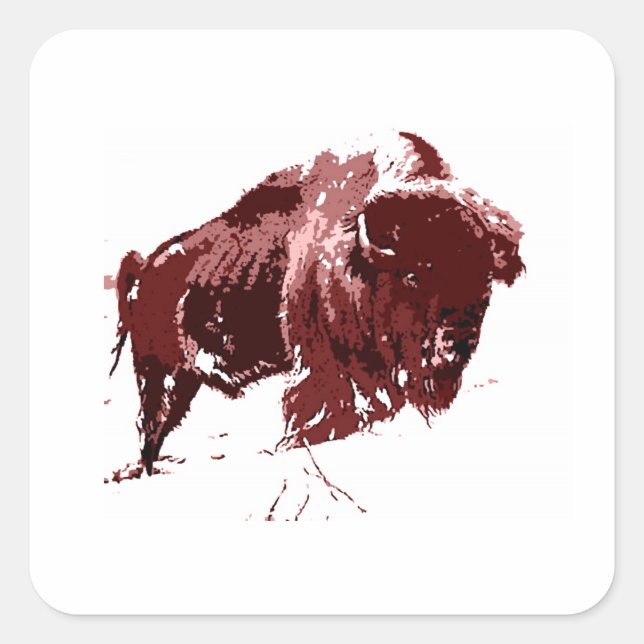 Sticker Carré Buffle - Bison (Devant)