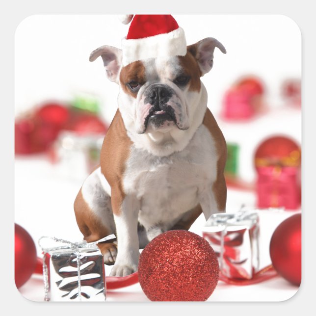Sticker Carré Bulldog boîte cadeau de Noël Ornements Red Santa C (Devant)