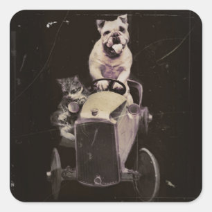 Sticker Carré Bulldog Drives a Car 1933
