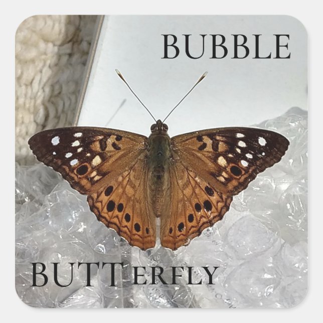 Sticker Carré Bulle BUTTerfly (Devant)