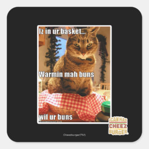 Sticker Carré Buns de mah Warmin