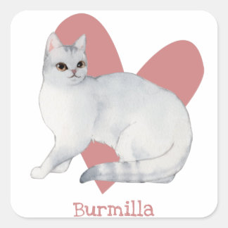 Sticker Carré Burmilla Chat Aquarelle Kitty Coeur rose