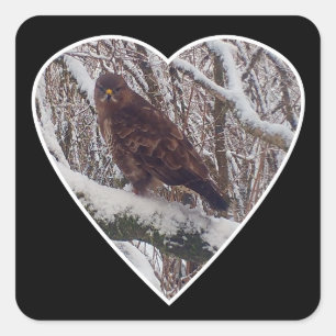 Sticker Carré Buse sur Branche enneigée Faune Cœur Nature Art