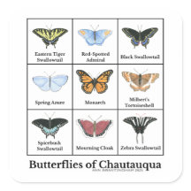 Butterflies of Chautauqua