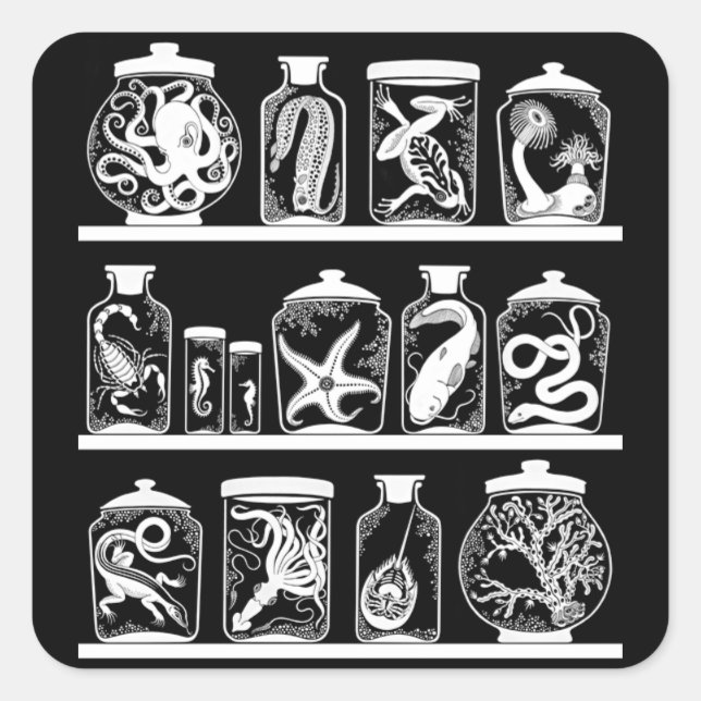 Sticker Carré Cabinet OPUS Curiosity (Devant)