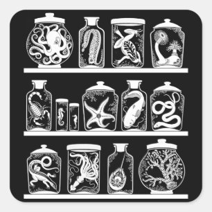 Sticker Carré Cabinet OPUS Curiosity