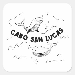 Sticker Carré Cabo San Lucas Mexique Baleines