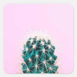 Sticker Carré Cactus de Prickley sur le rose