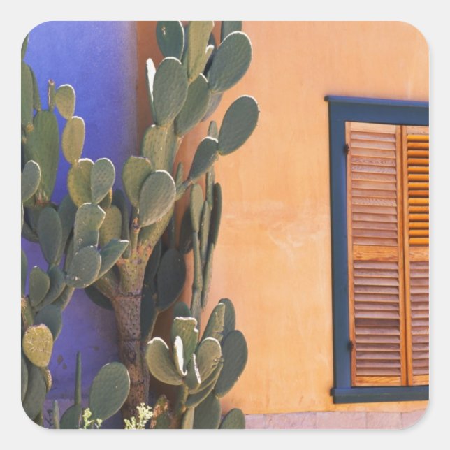 Sticker Carré Cactus du sud-ouest (Opuntia dejecta) et (Devant)