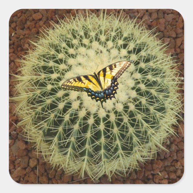 Sticker Carré Cactus et papillon (Devant)