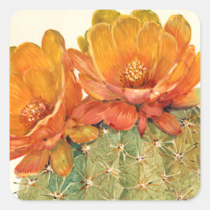Sticker Carré Cactus Orange Blossoms