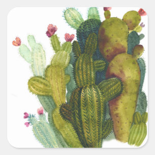 Sticker Carré Cactus, succulents : aquarelle vintage.