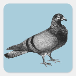 Sticker Carré Cadeaux vintages de pigeon