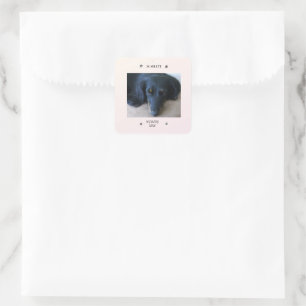 Sticker Carré Cadre d'empreinte de patte avec nom et surnom de l