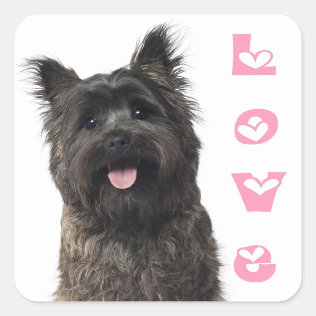 Sticker Carré Cairn Terrier Love Chien Chien Chien Chien Maman F (Devant)