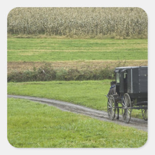 Sticker Carré Calèche amish sur une route de campagne, Ohio du N