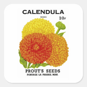 Sticker Carré Calendula Vintage Seed Packet