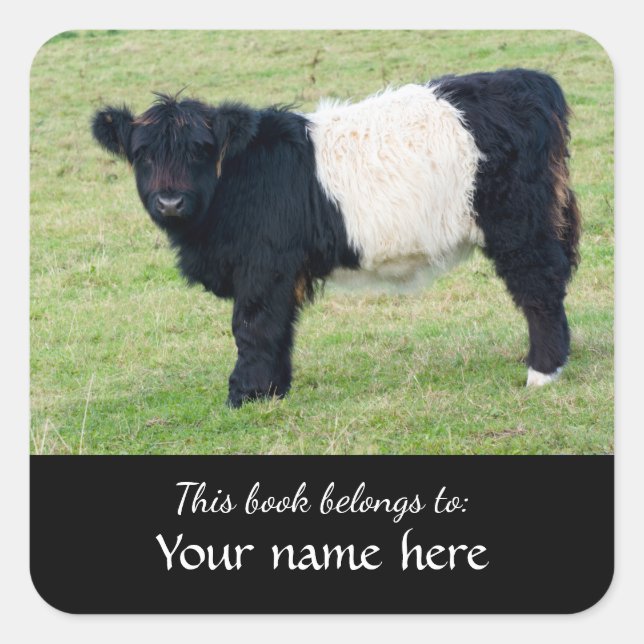 Sticker Carré Calf Belted Galloway "Ce livre appartient à..." Sq (Devant)