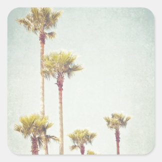 Sticker Carré Californie Dreaming Retro Palm Tree Photographie