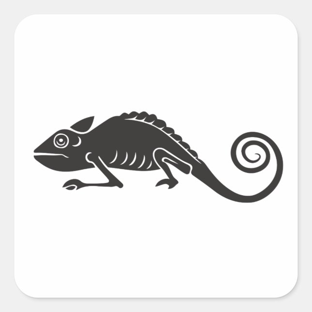 Sticker Carré caméléon simple (Devant)