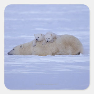 Sticker Carré Canada