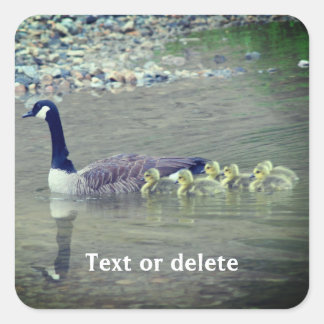 Sticker Carré Canada Oie Maman Bébés Nature Personnalisée