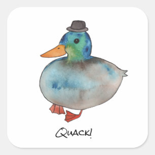 Sticker Carré Canard avec casquette