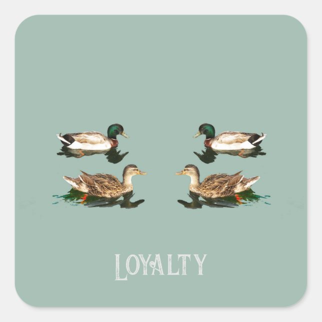 Sticker Carré Canards colverts (Devant)
